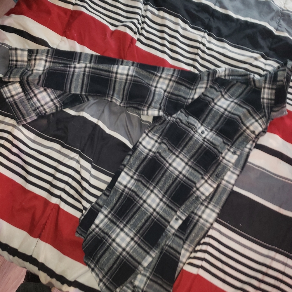 Flannels - Picture 7 of 16